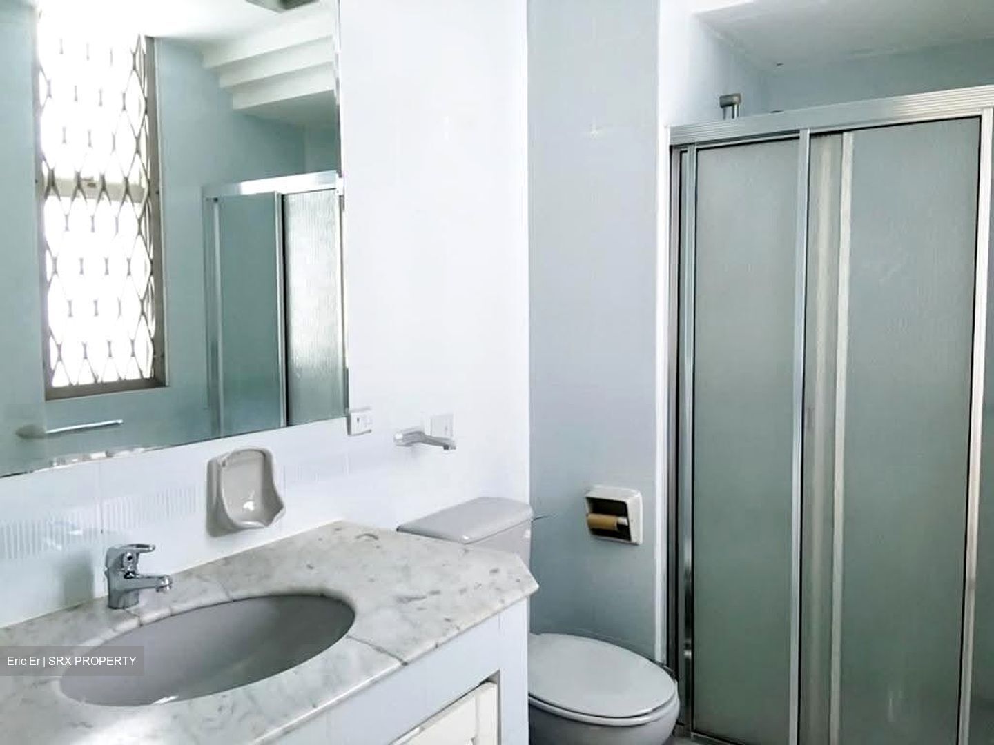 The Waterside (D15), Condominium #617698481